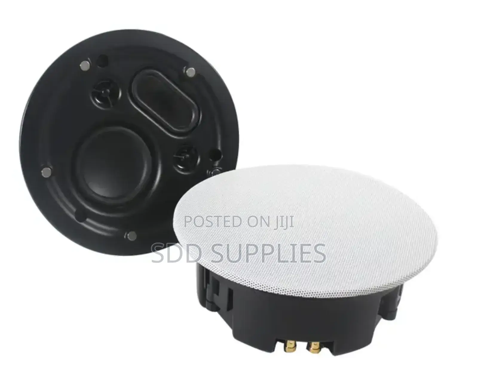 Passive Super Bass Ceiling Speaker Dual Tweeter Radiator