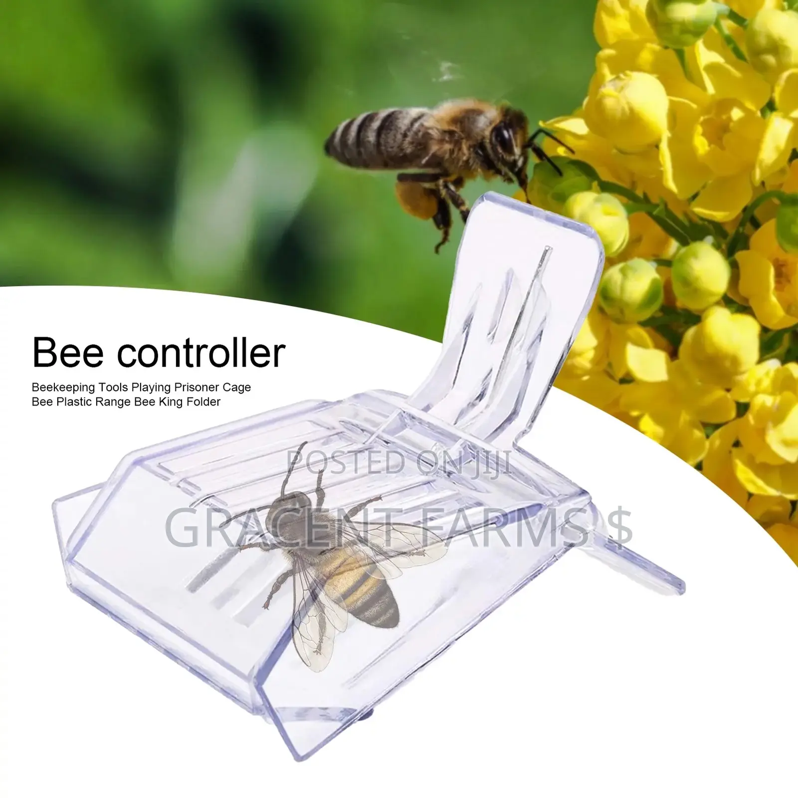 Queen Bee Catcher Cage