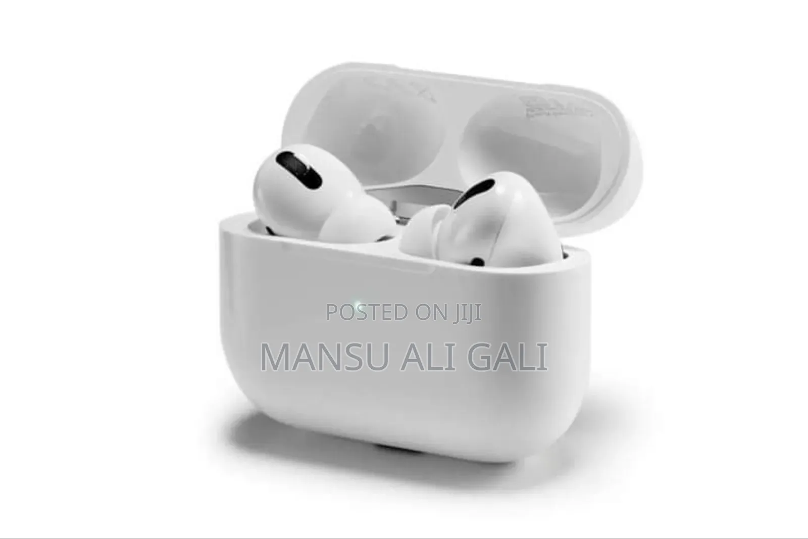 Apple Earbuds