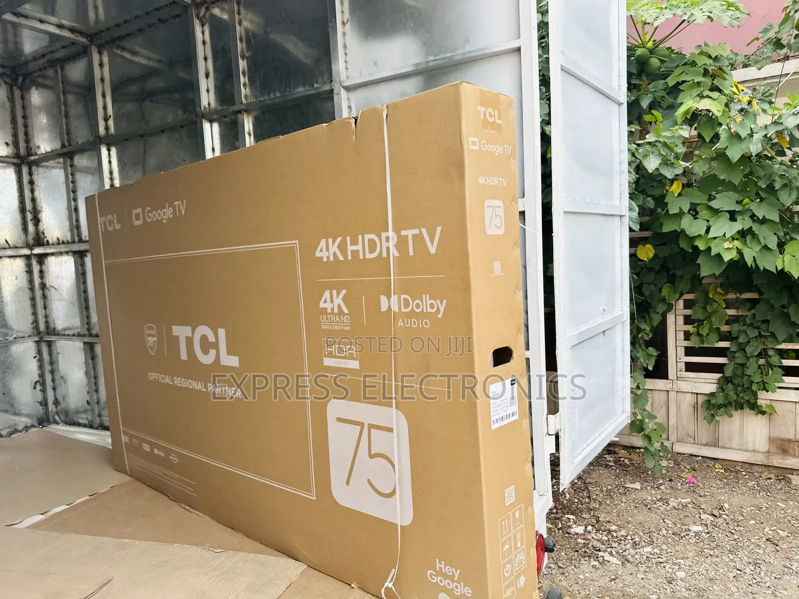 Epic Entertainment Smart TCL 75p635 Uhd