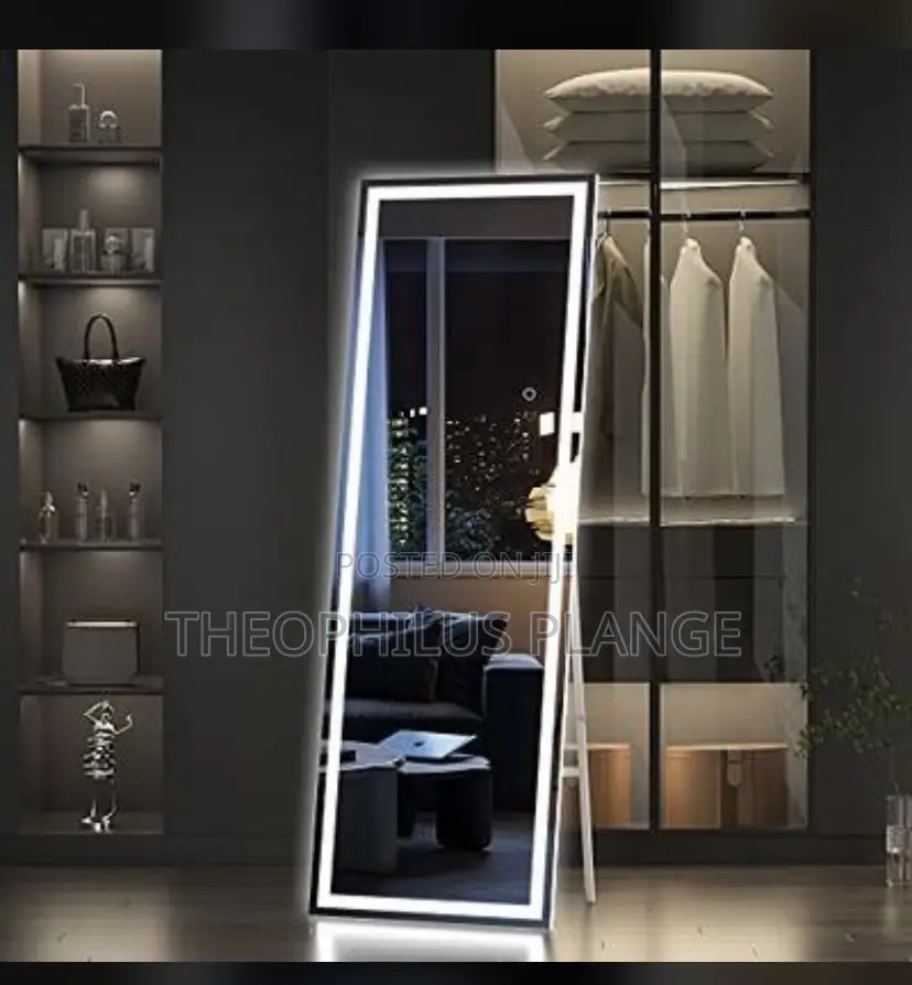 Led Floor / Dressing Mirror, 3 Colors Decorative Mirror