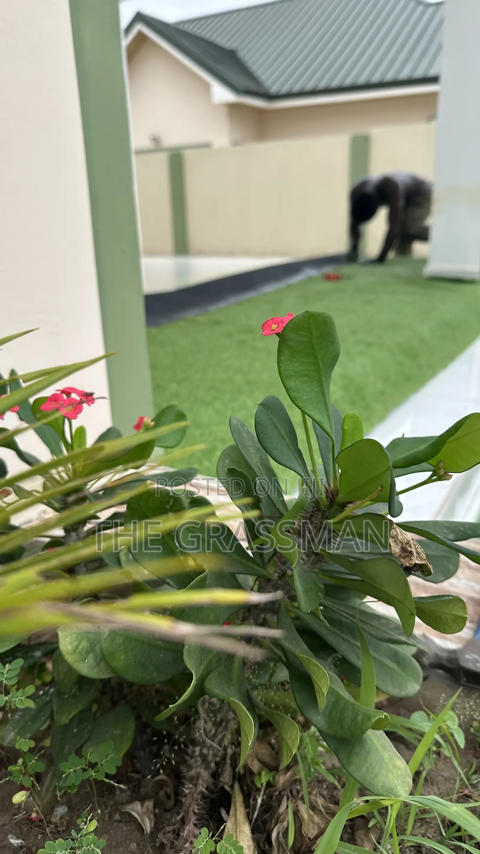 Premium Artificial Grass - Unbeatable Quality Price!