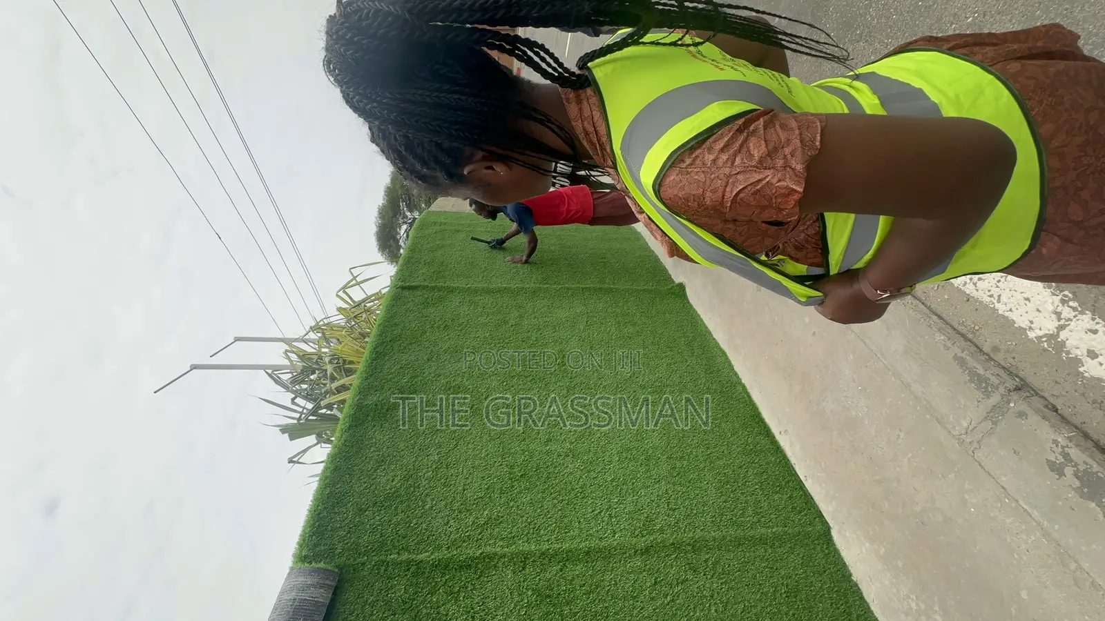 Grass for Walls for Estates, Residential, Hotels