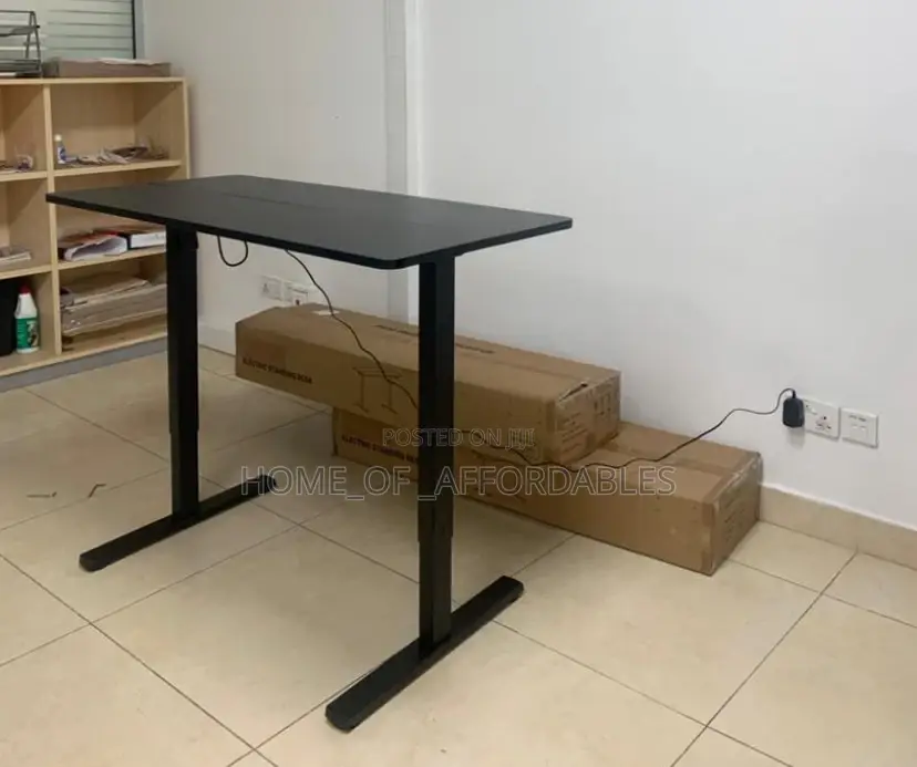 48”X24” Modern Electric Adjustable Height Office Table