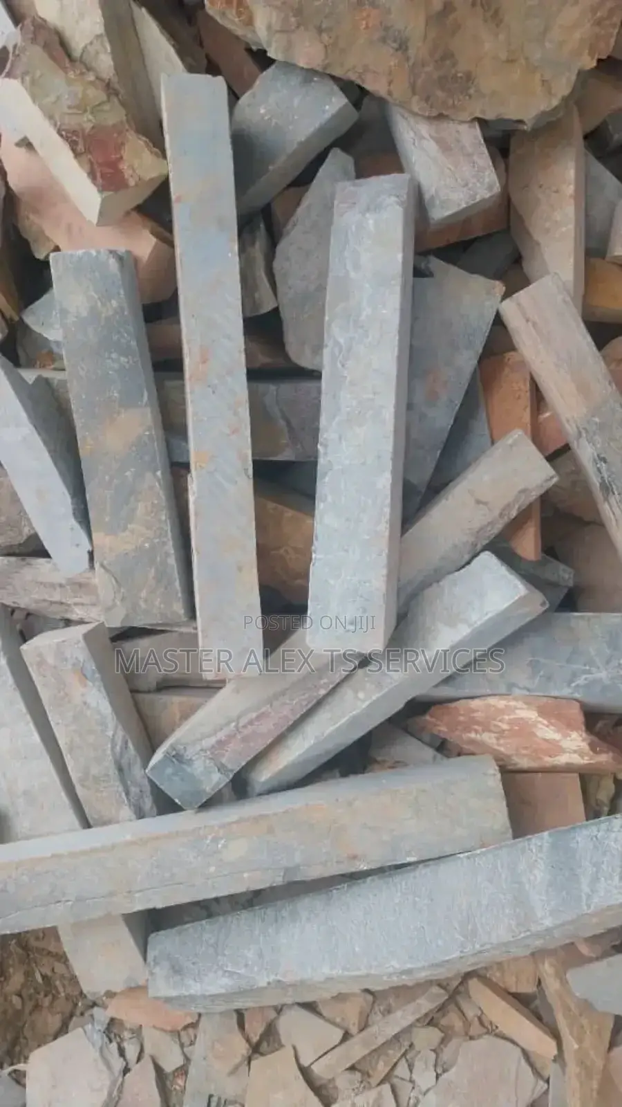 Mabel Stones (Shells) for Sale