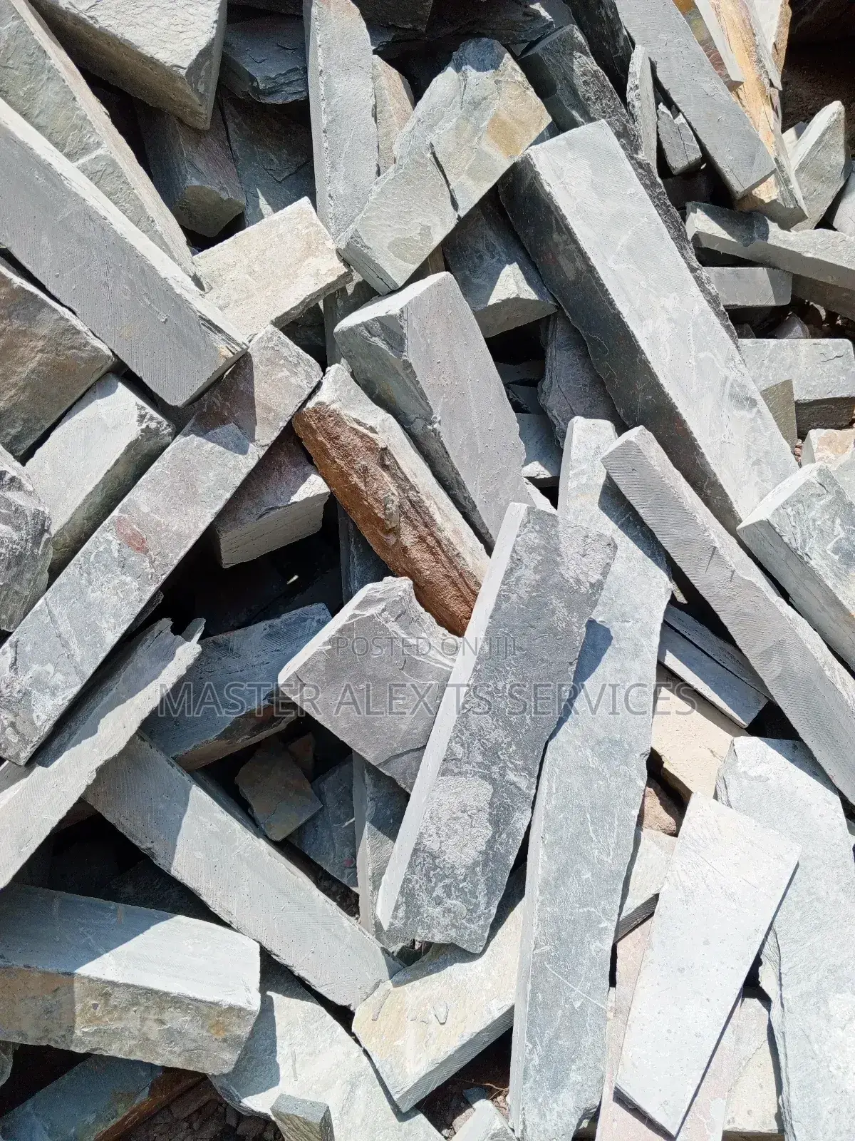 Mabel Stones (Shells) for Sale