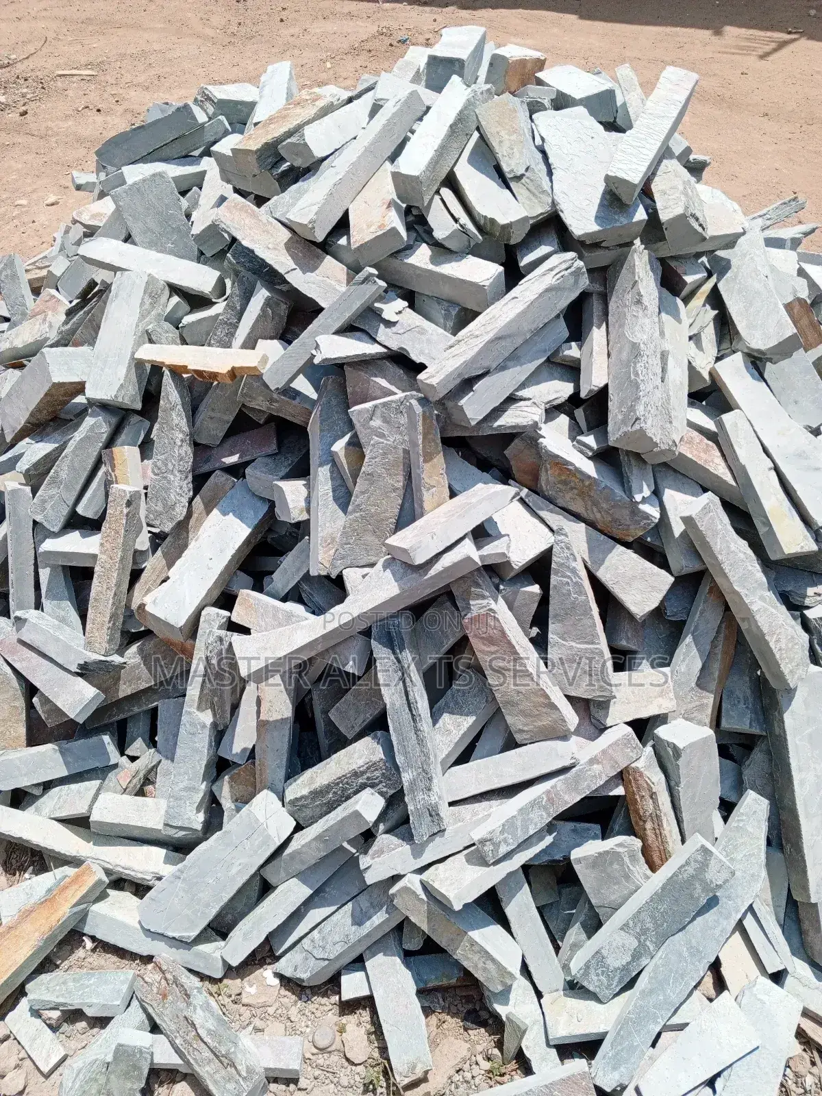 Mabel Stones (Shells) for Sale