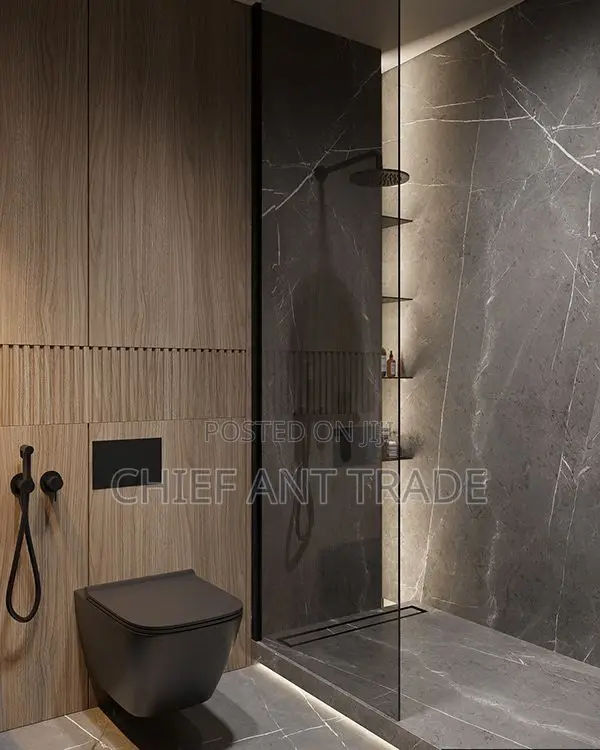 Wall Hung Wc. Concealed Toilet Seat. Wall