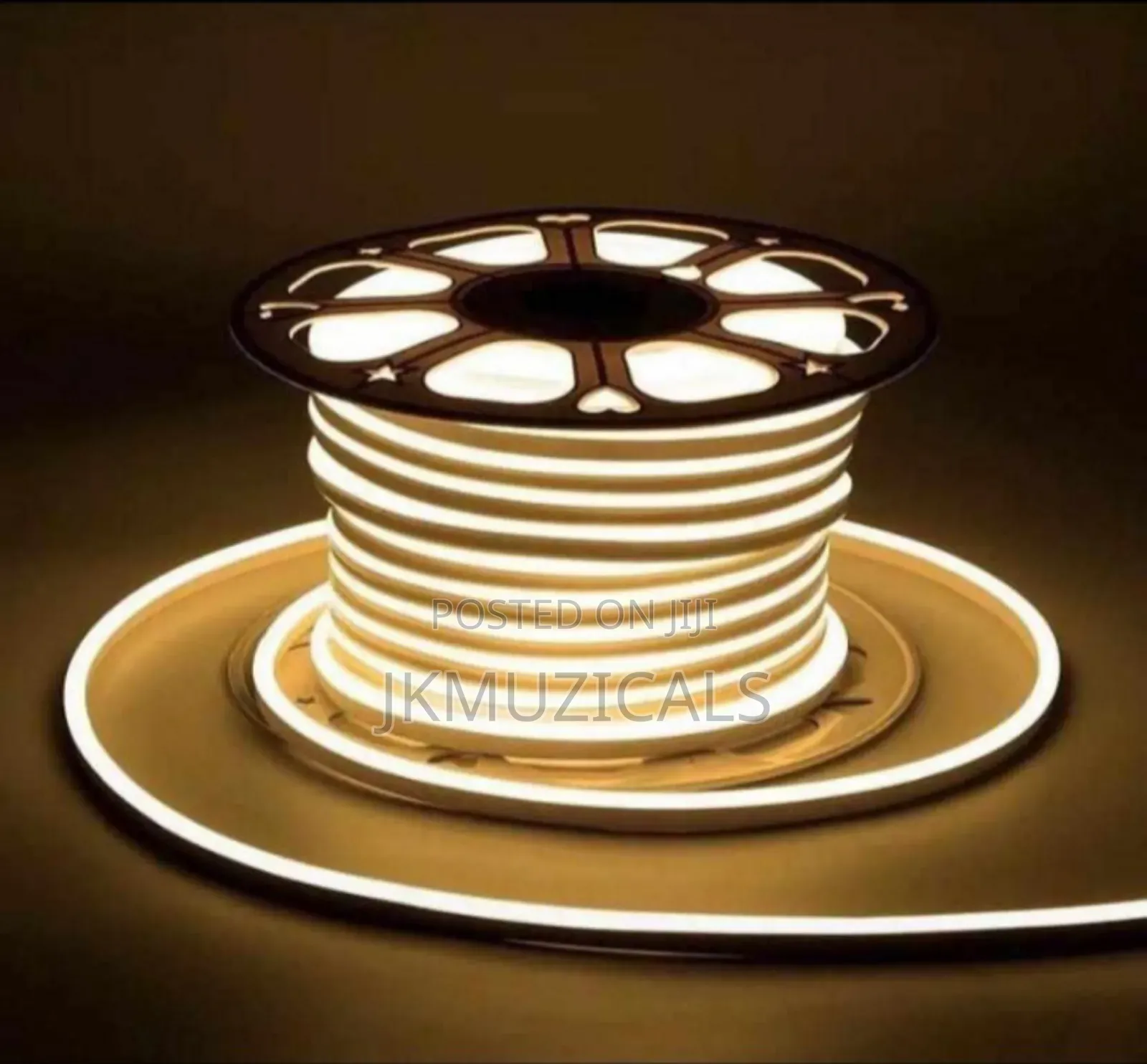 10m Neon Led Strip Light_ Waterproof