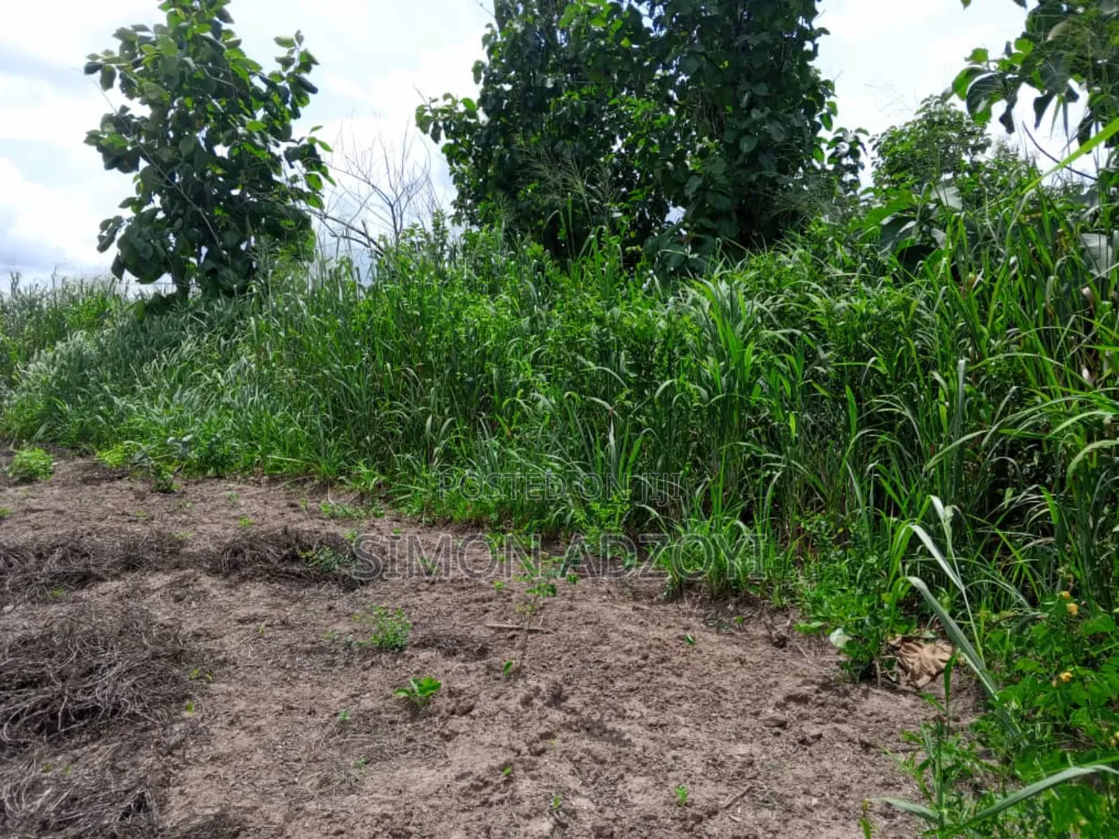 10,000 Acres Farmland for Sale