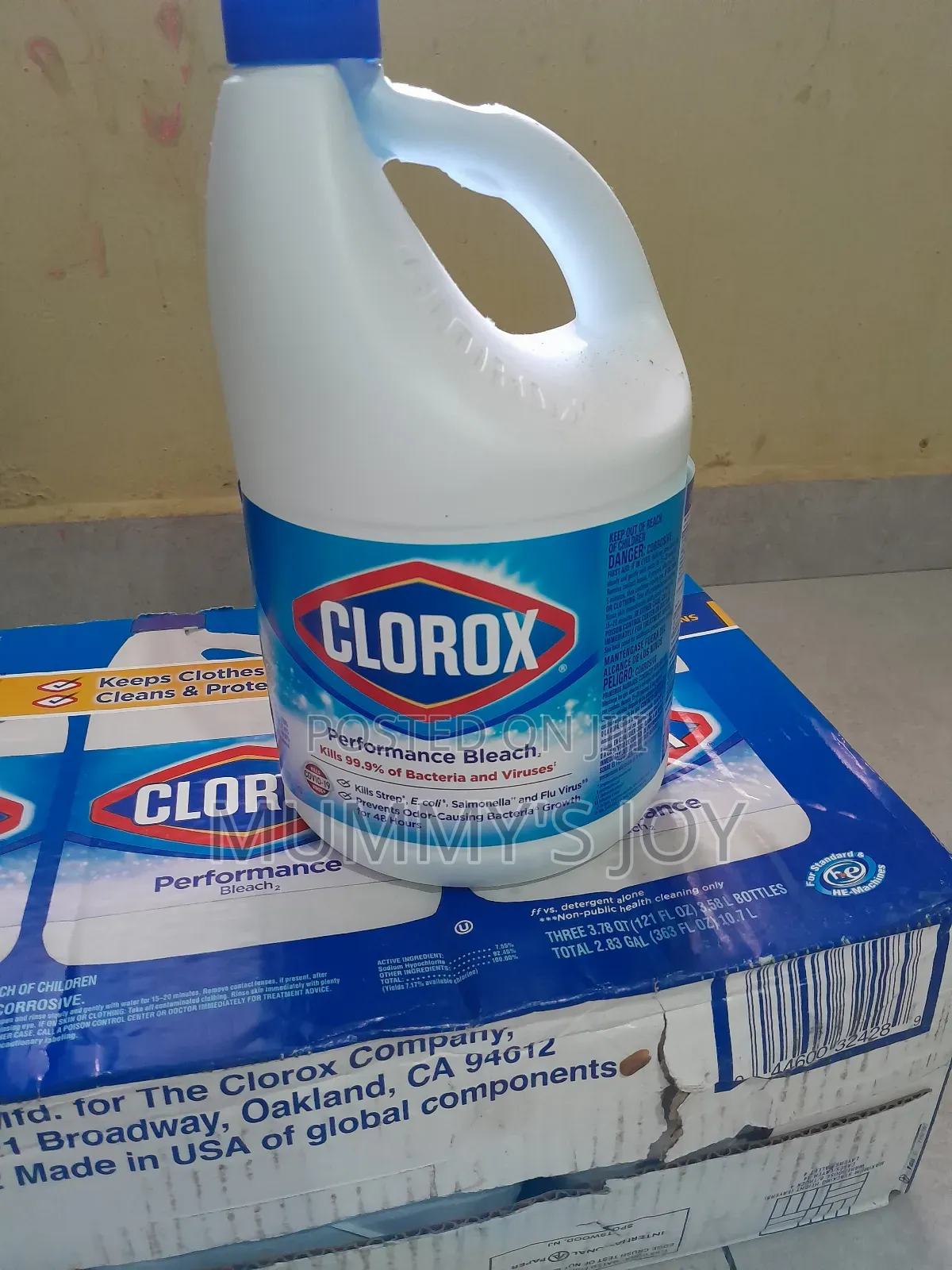 Clorox Bleach