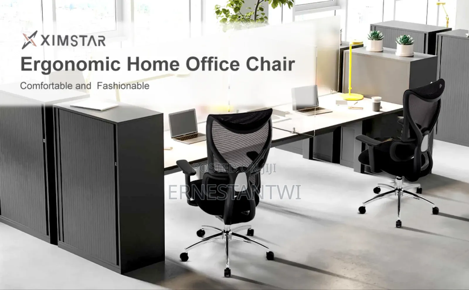 Ergonomic Office Chair