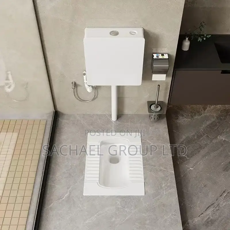 Squatting Toilet With Wall- Mounted Tank