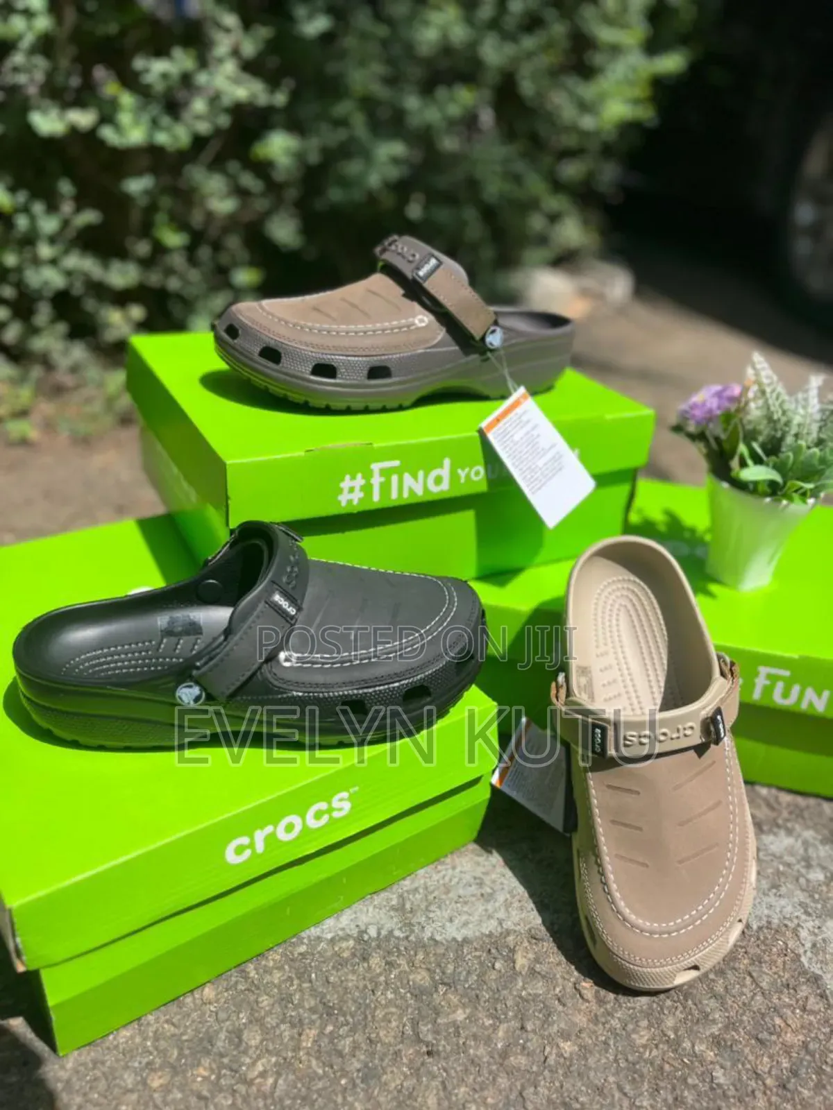 Original Crocs