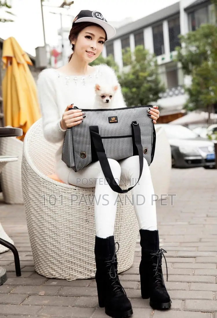 Cute Pet Bag