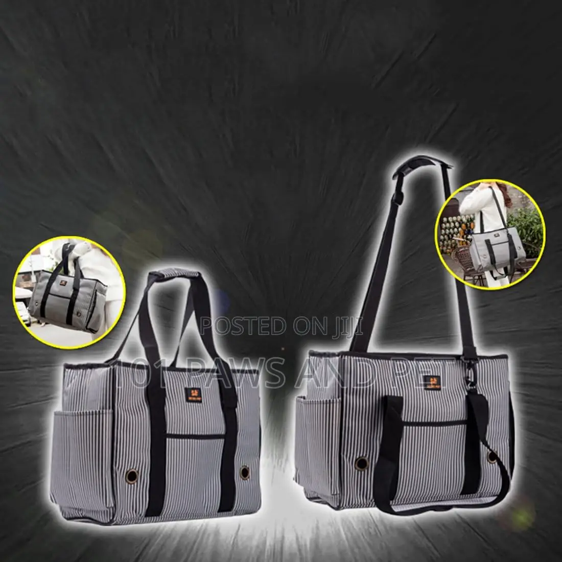 Cute Pet Bag