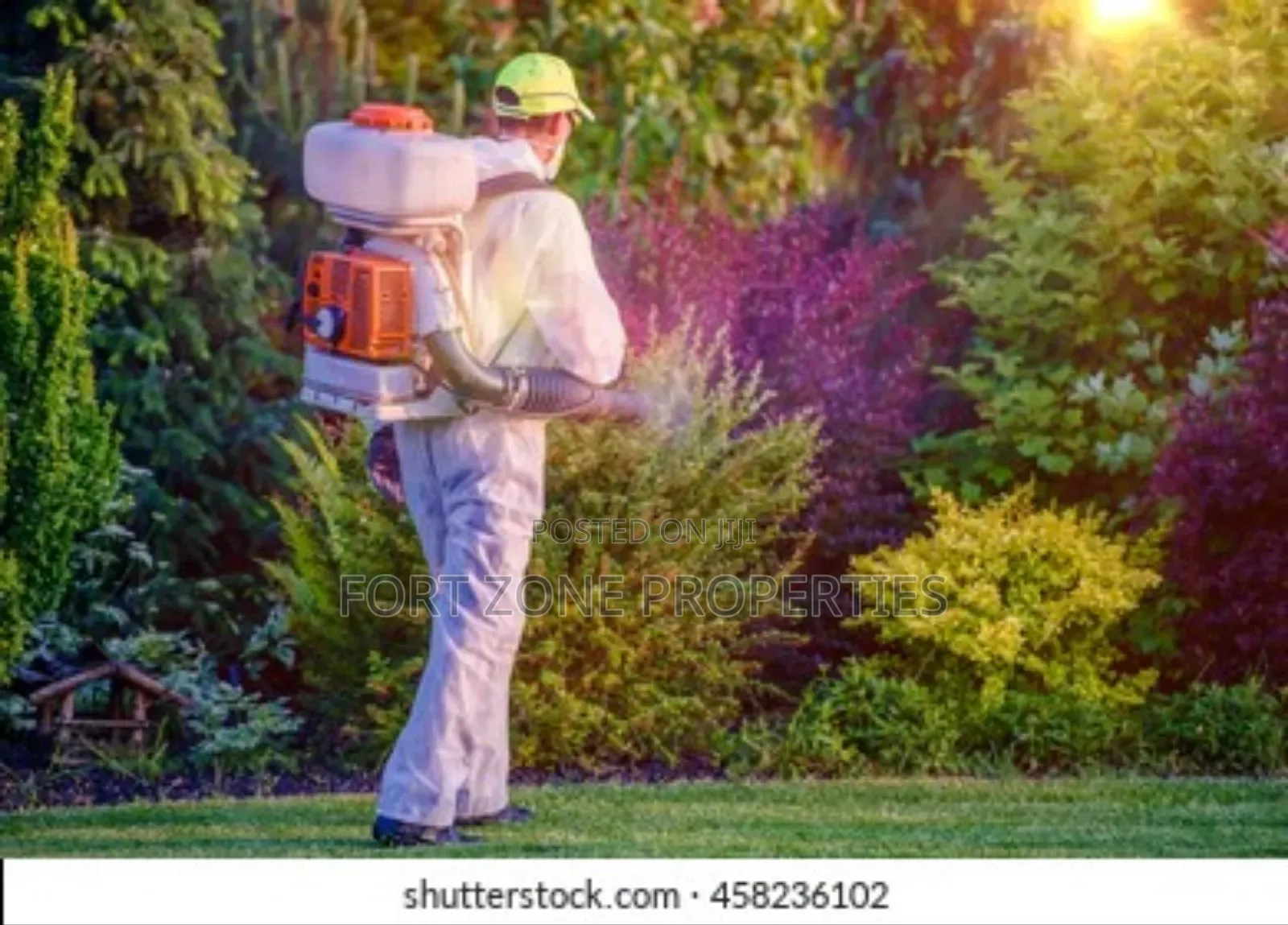 Ghana Pest Control With Cleantex