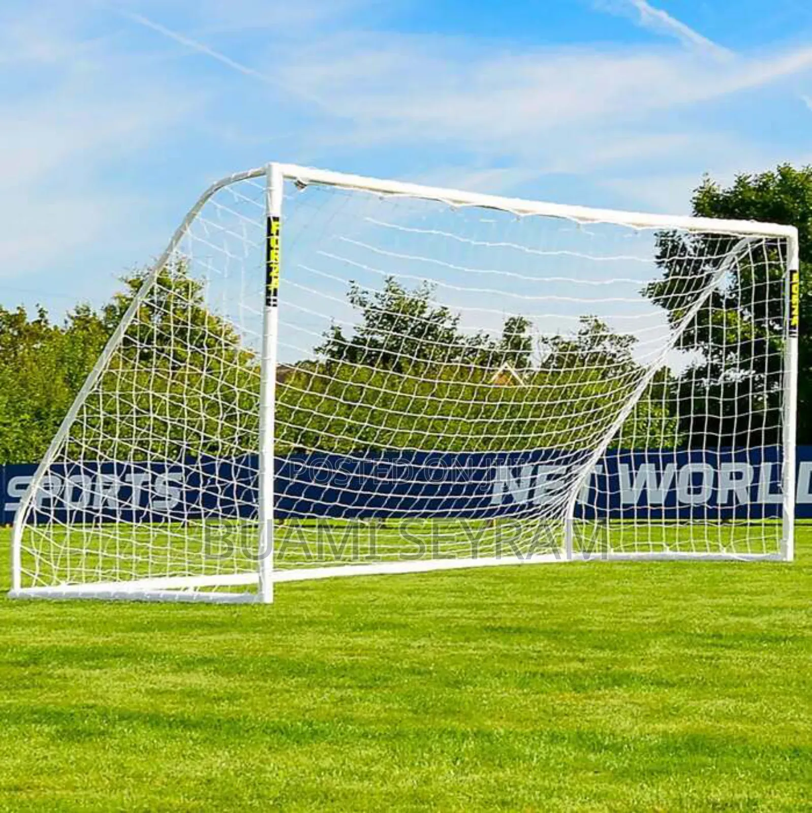 Professional Goal Posts With Net