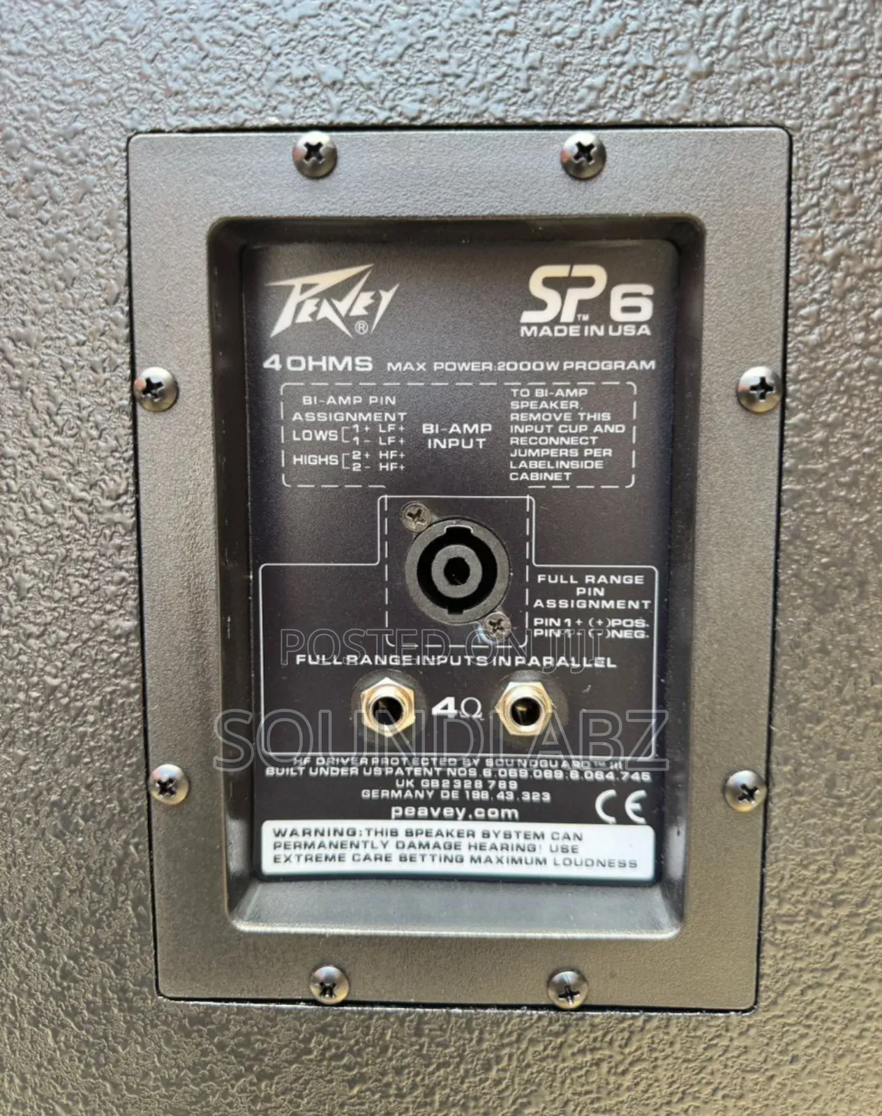 Peavey SP 4 Dual 15" 4000w Passive Black Widow Speakers