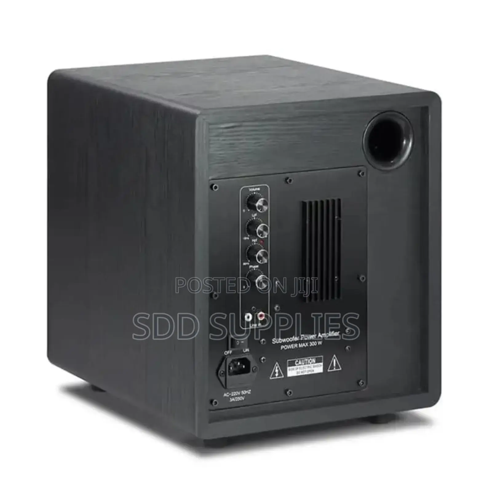 8inch 300 Watts High Power Active Subwoofer