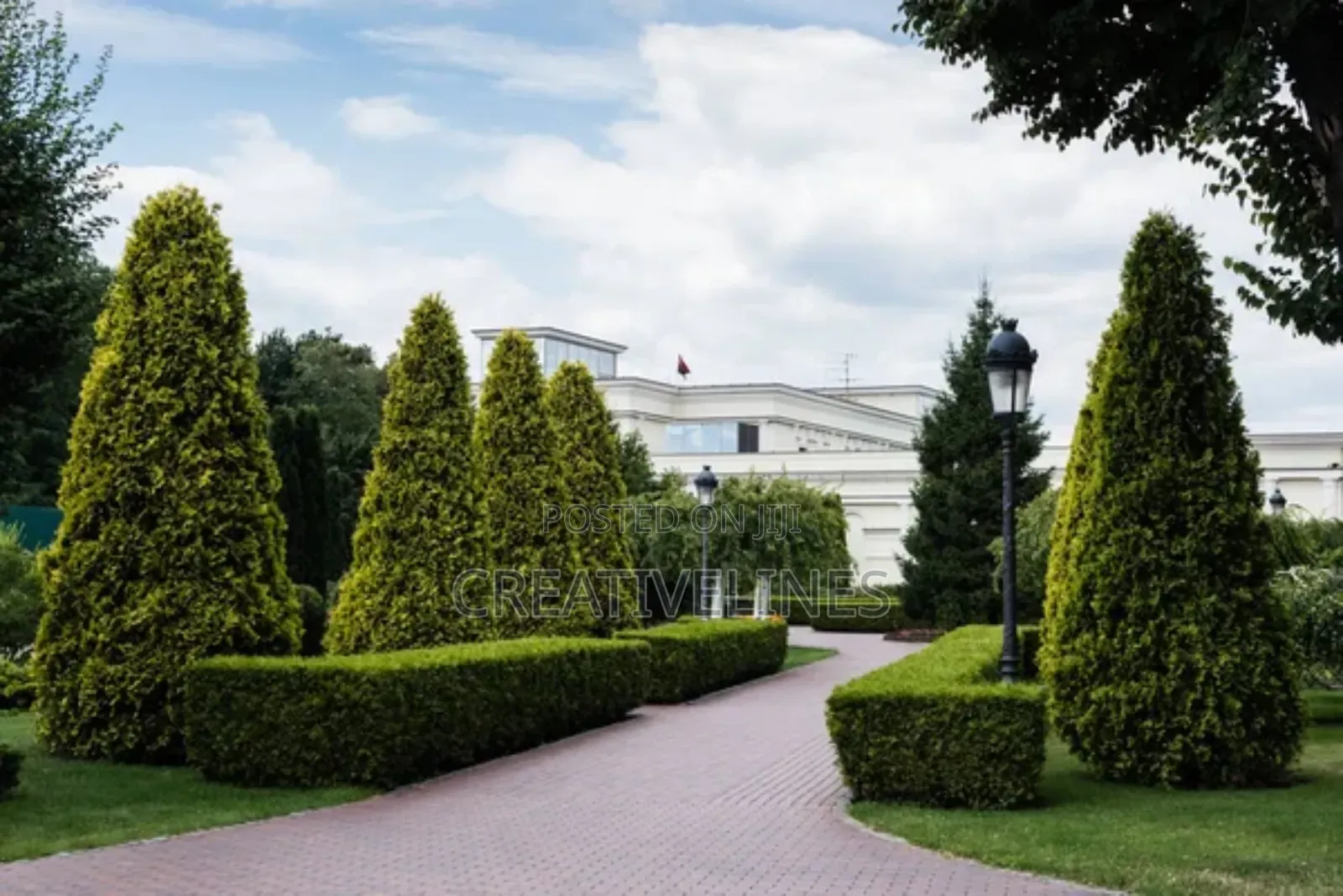 Creative Landscaping