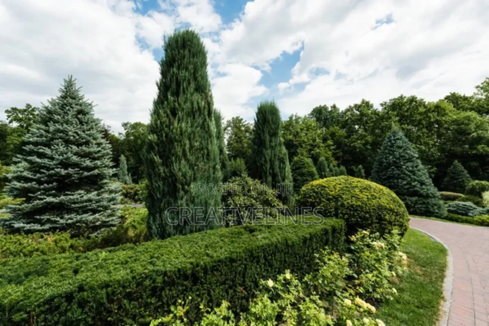 Creative Landscaping