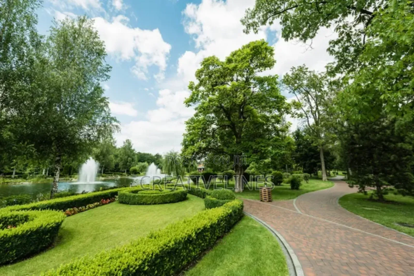 Creative Landscaping