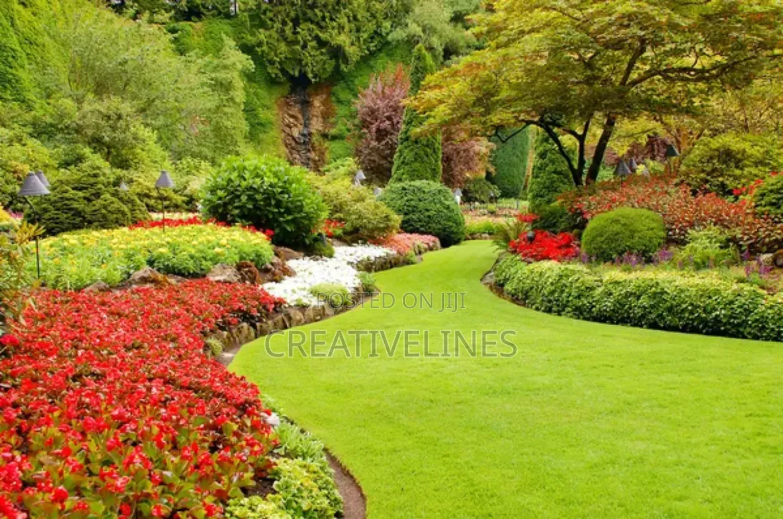 Creative Landscaping