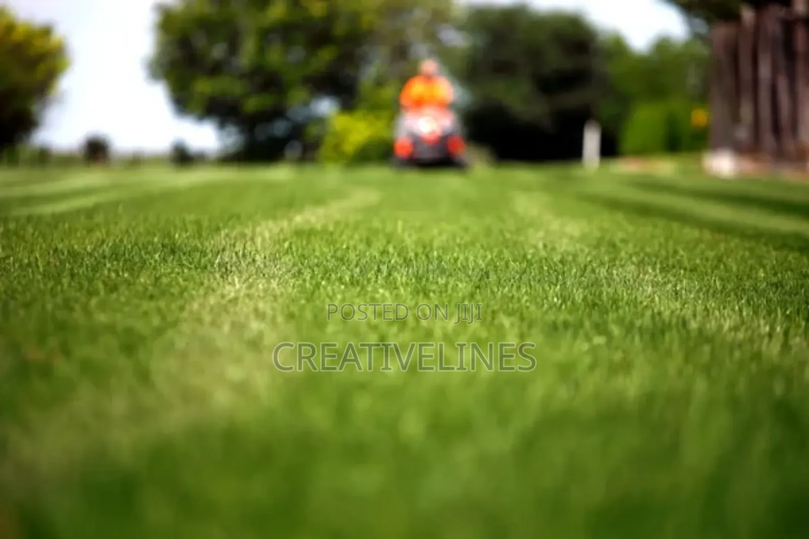 Lawn Mowing