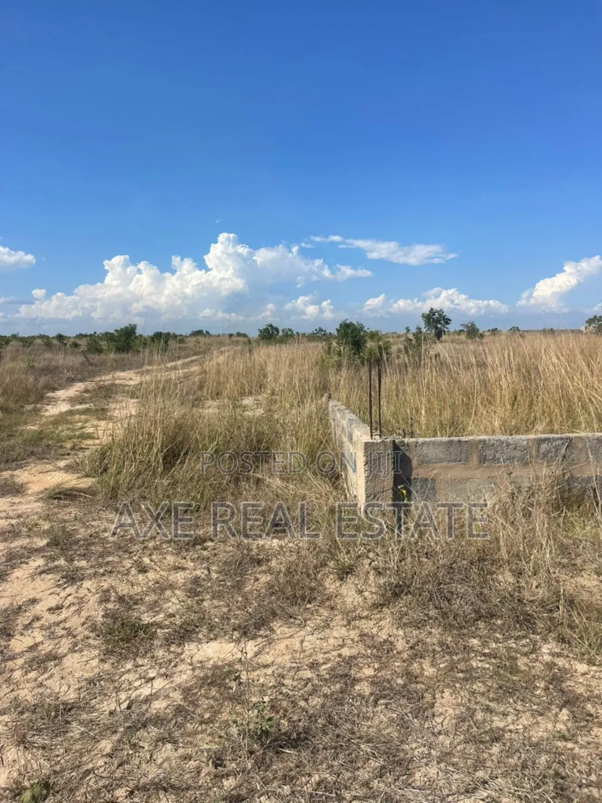 Authentic Locality Half Plot at Prampram Beach Road