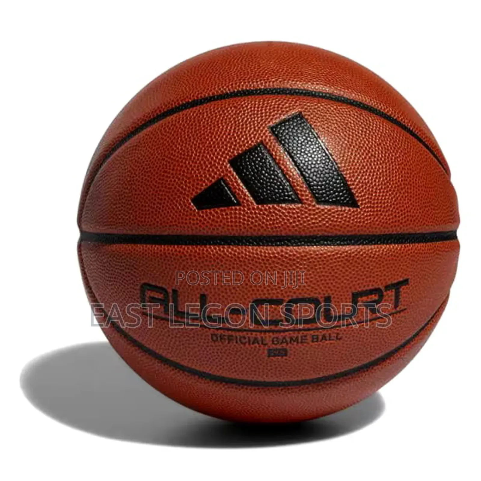 Everlast Wall Mounted Basketball Hoop