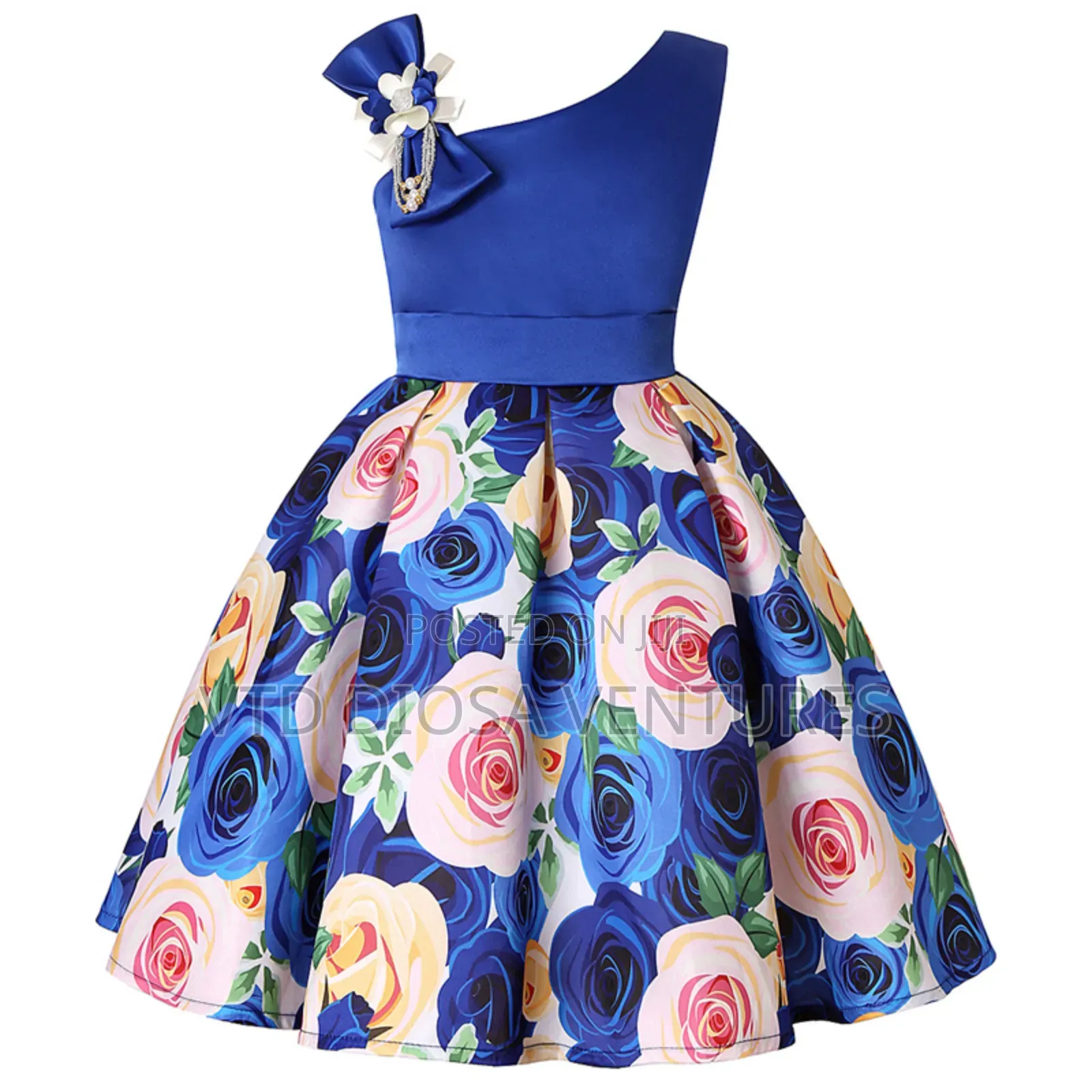 Fancy Princess Dress