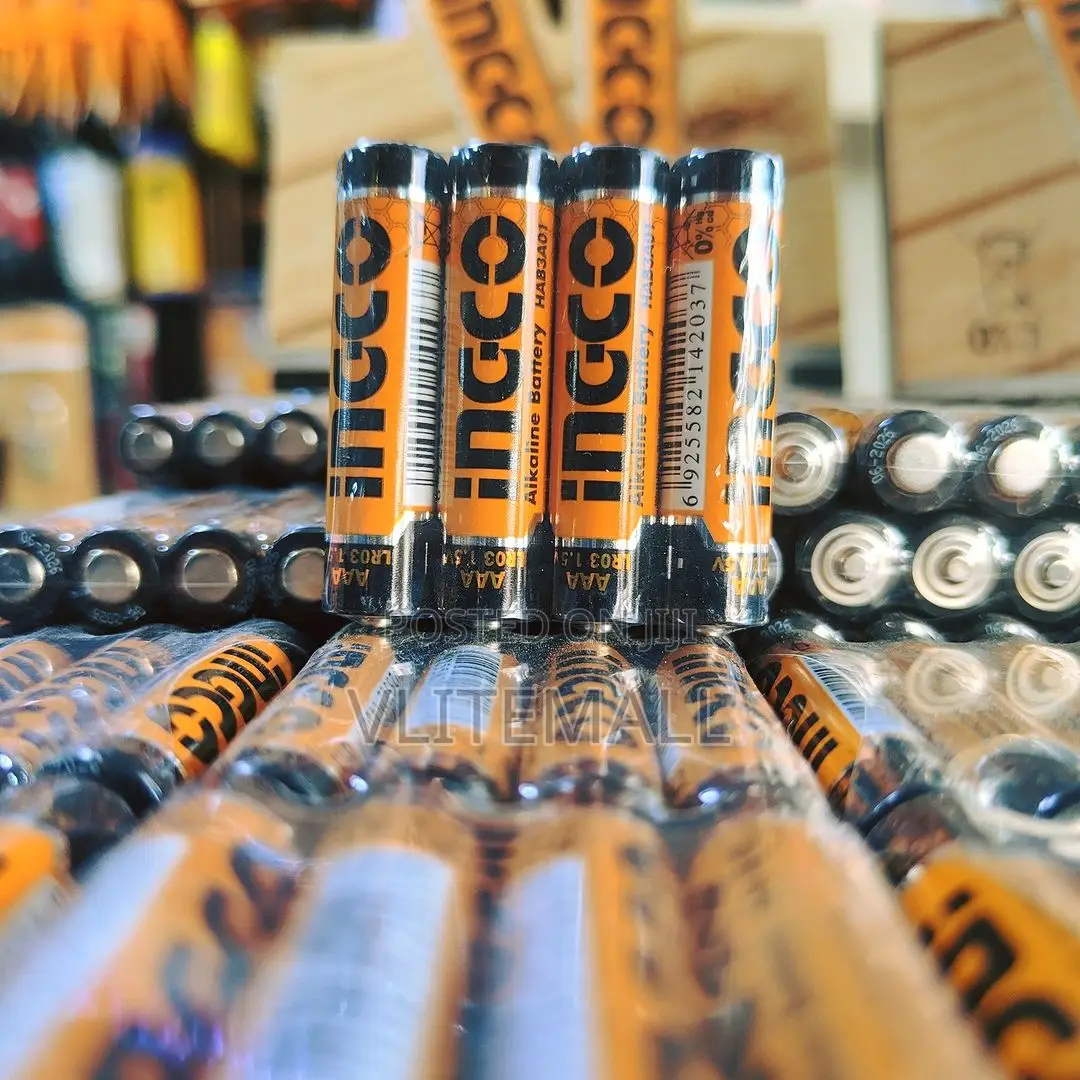 Ingco Alkaline Batteries
