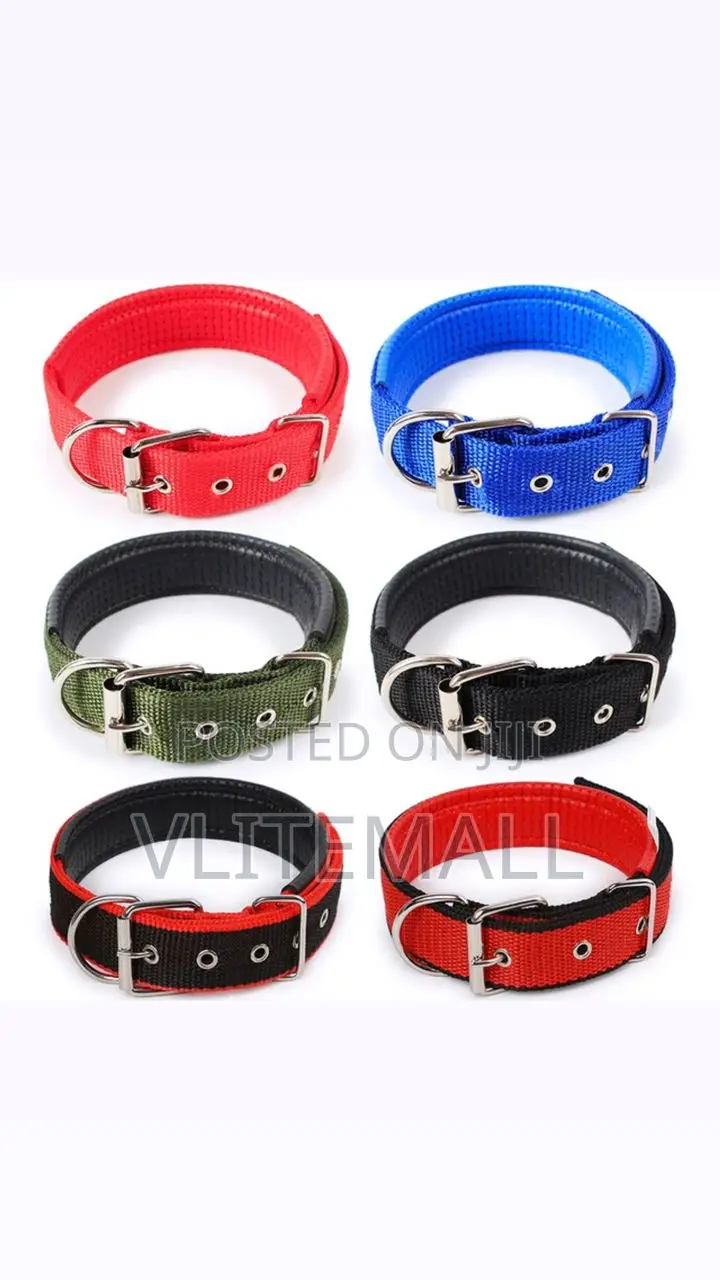 Dog Collar Size 4cm X68cm