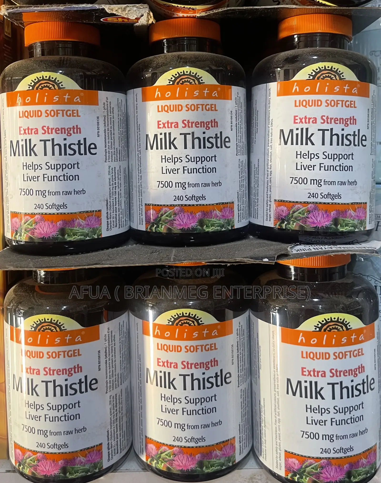 Holista Extra Strength Milk Thistle 250 Mg - 240 Softgels
