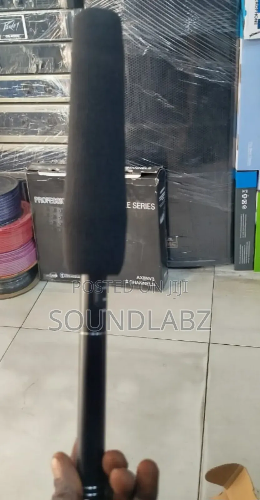 Panasonic Boom Microphone -Em 2800a