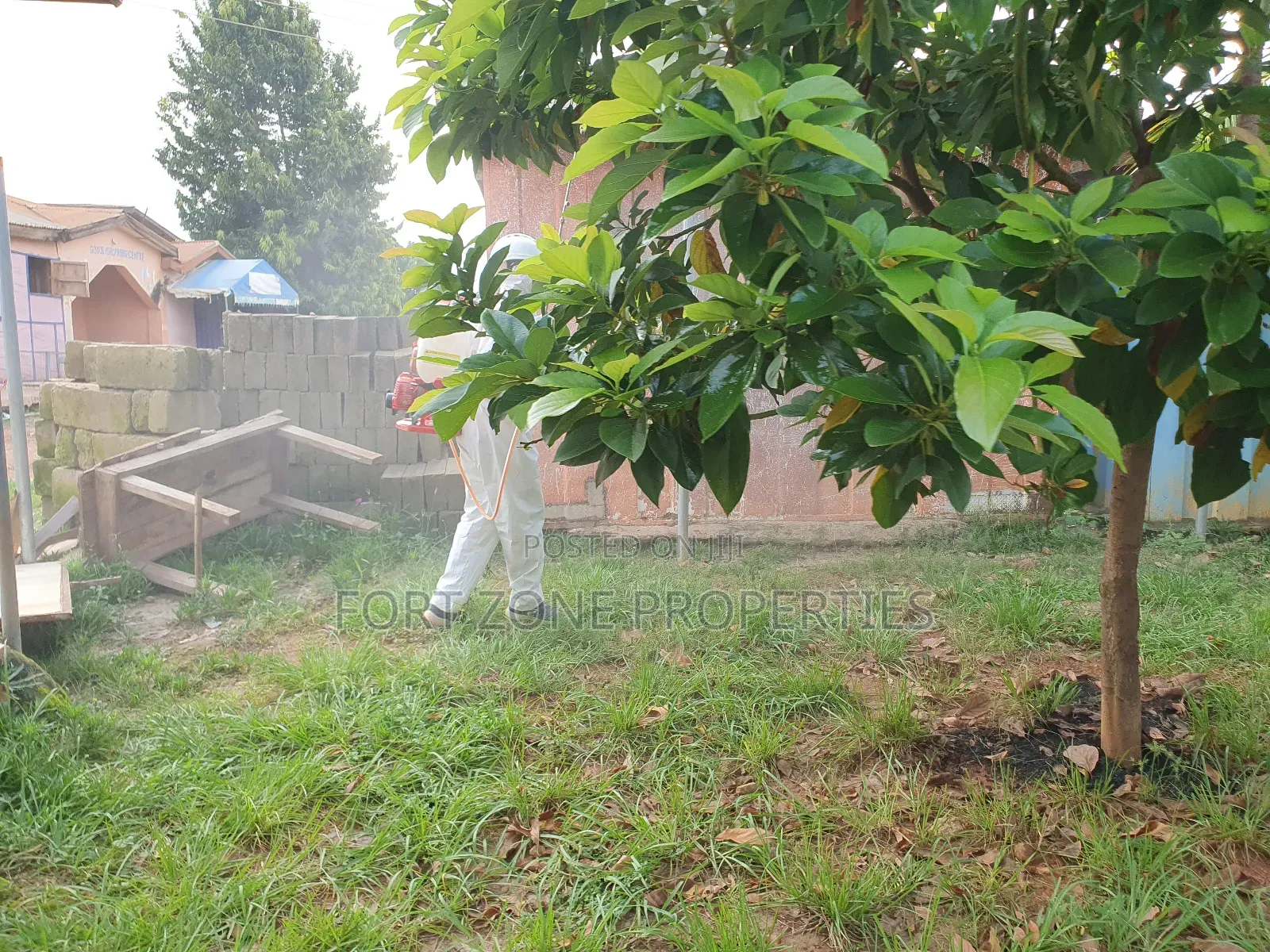Fumigation