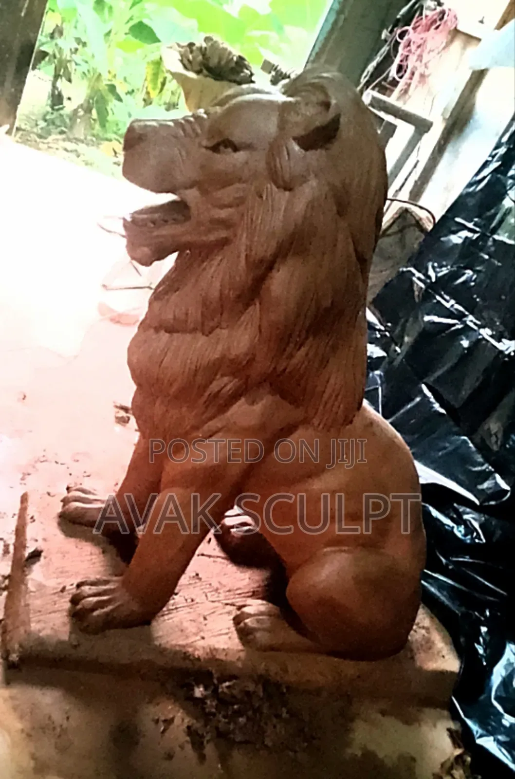Lion King 