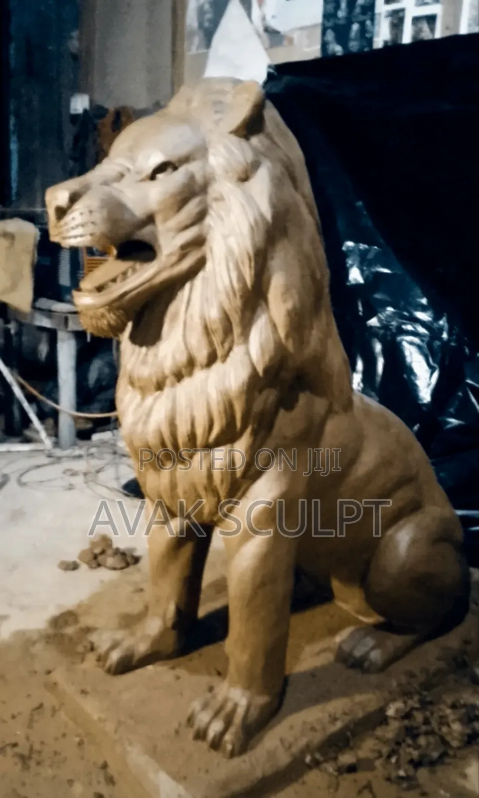 Lion King 