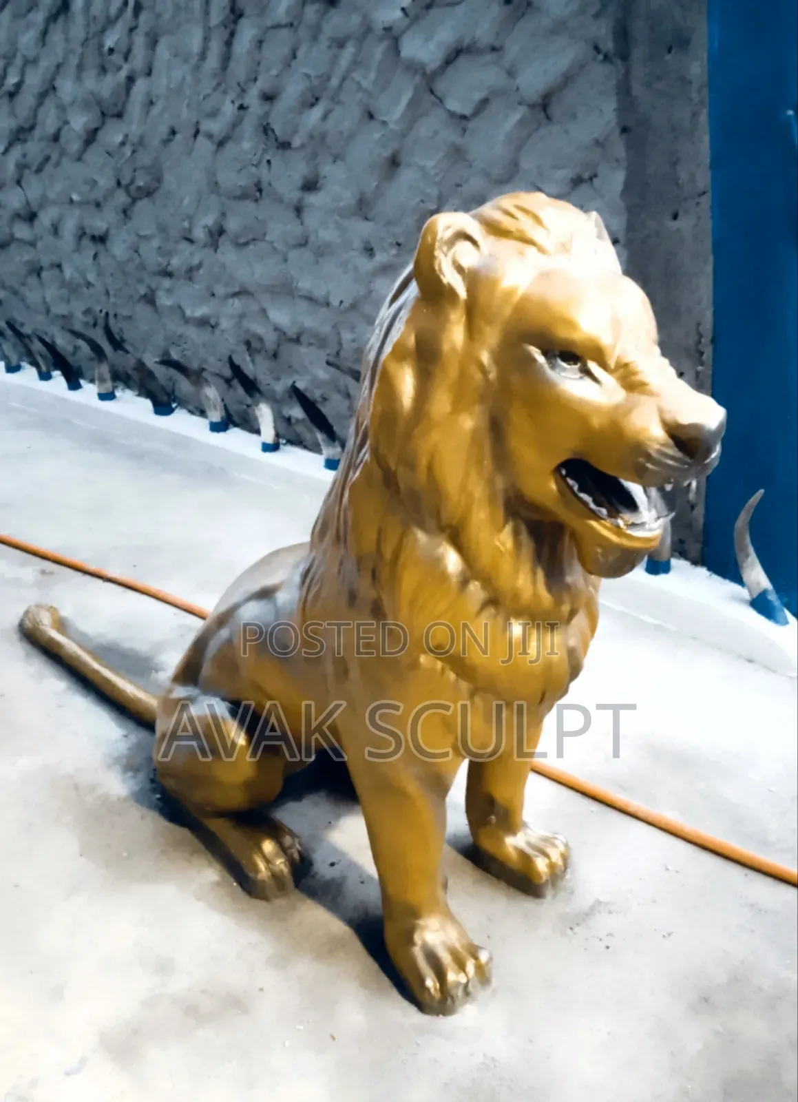Lion King 