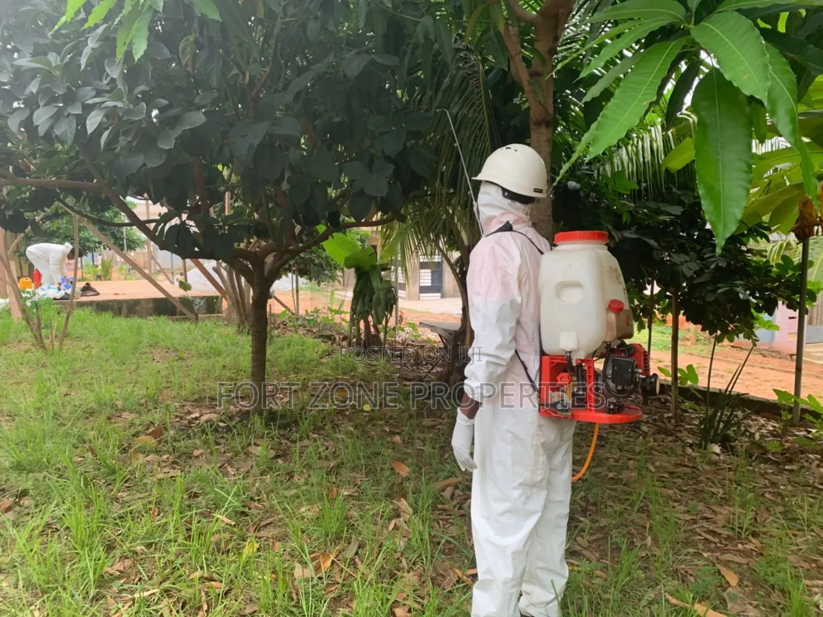 Residential and Office Pest Control Service