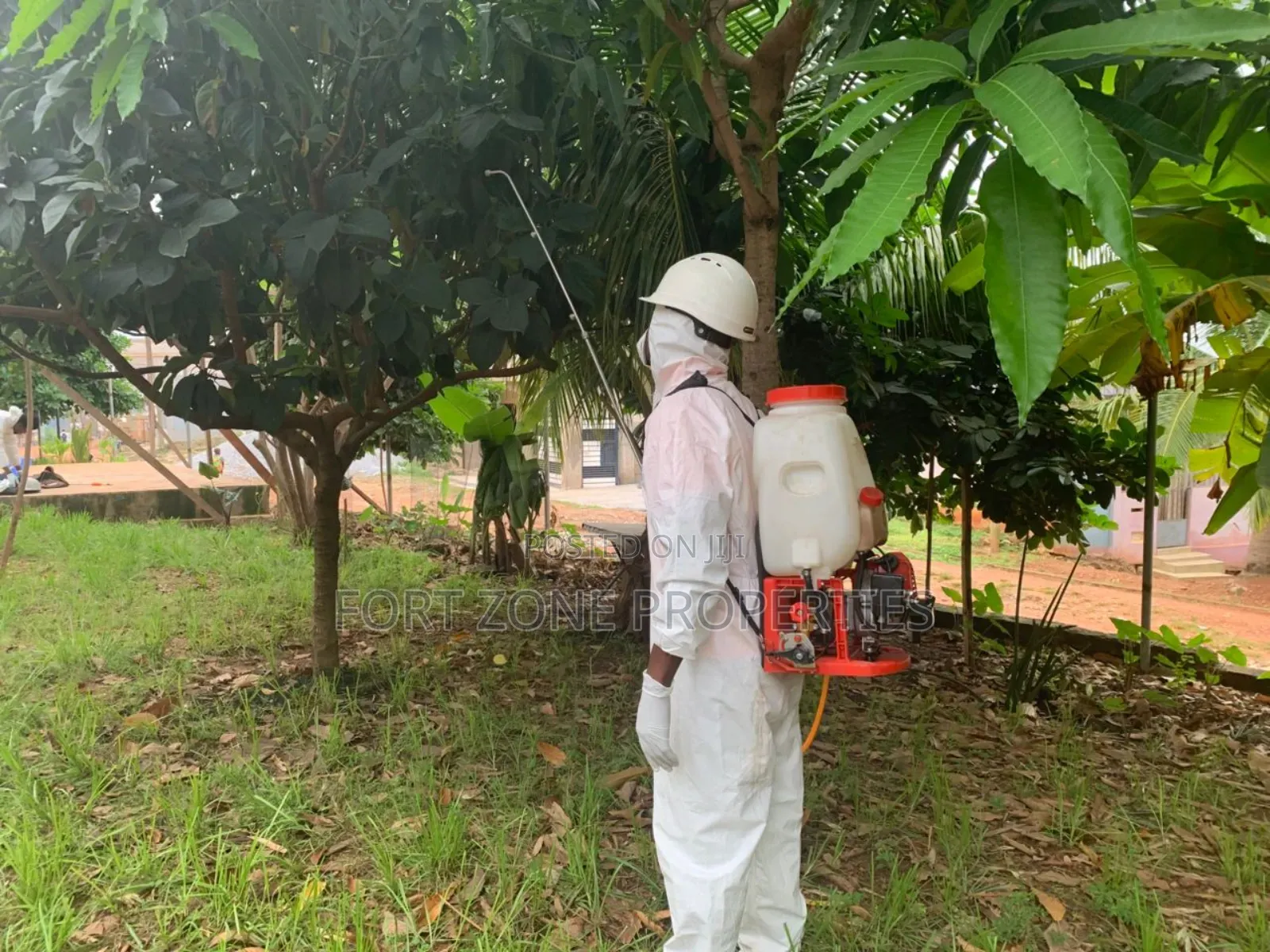 Residential and Office Pest Control Service