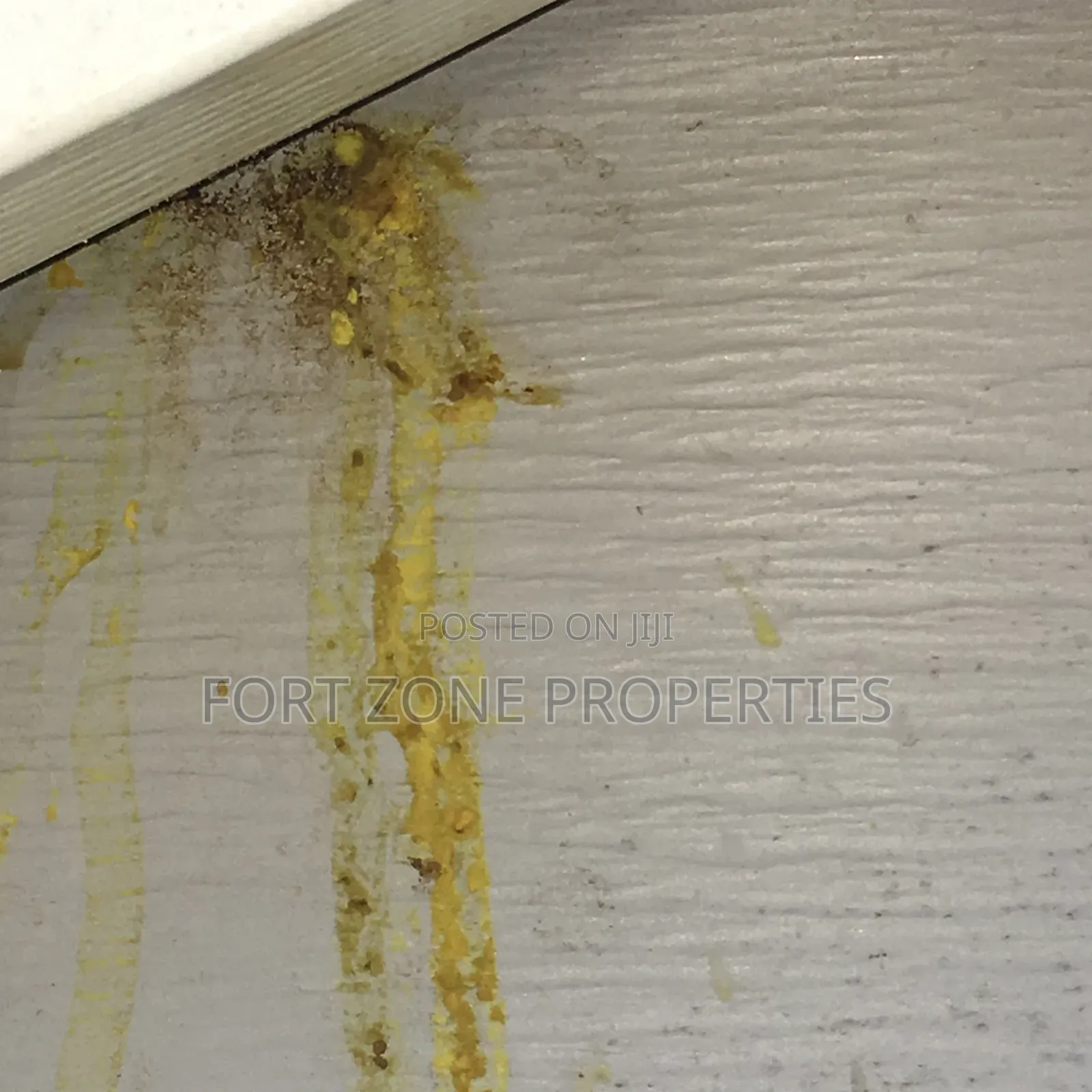 Termite ,Coackrohes and Antes Fumigation Now!