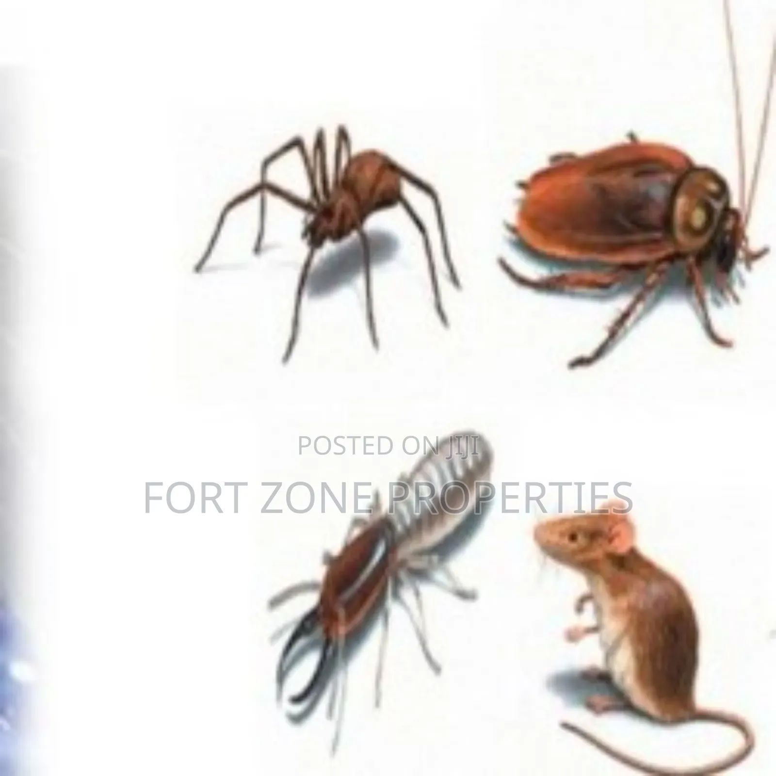 Insects Away From Your Home Now!