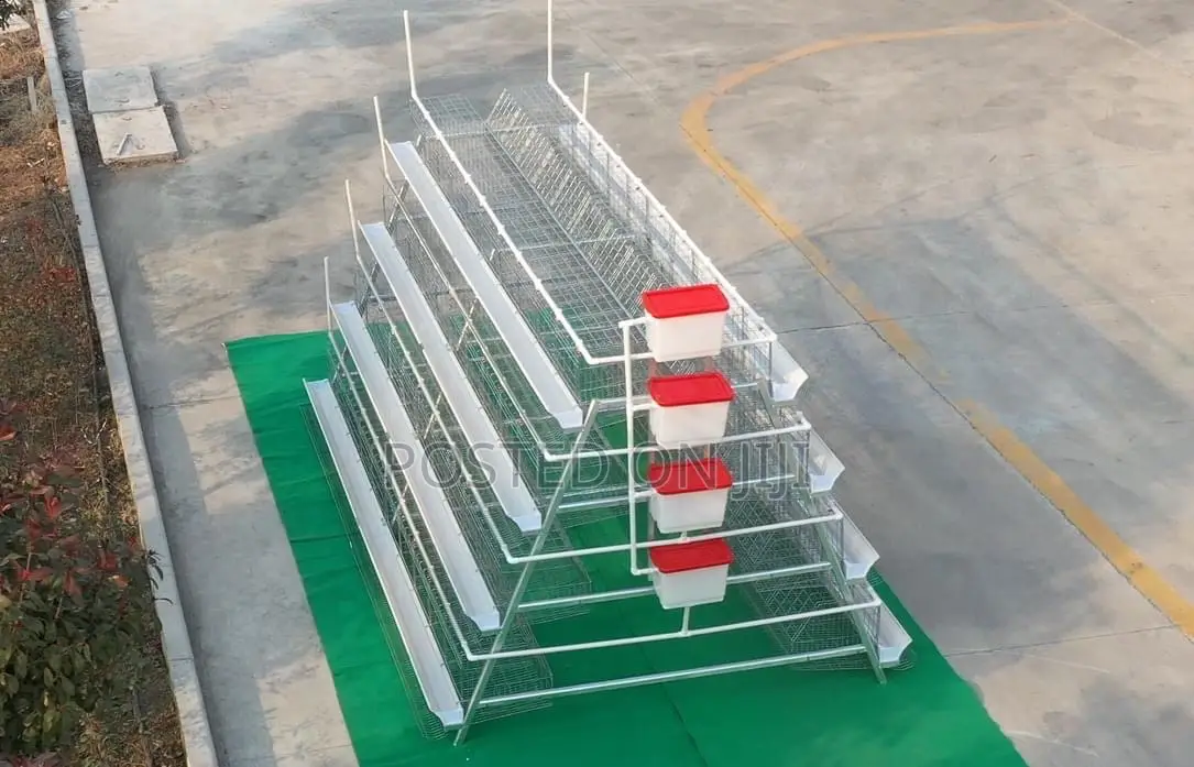 A-type Layers Chicken Cage System