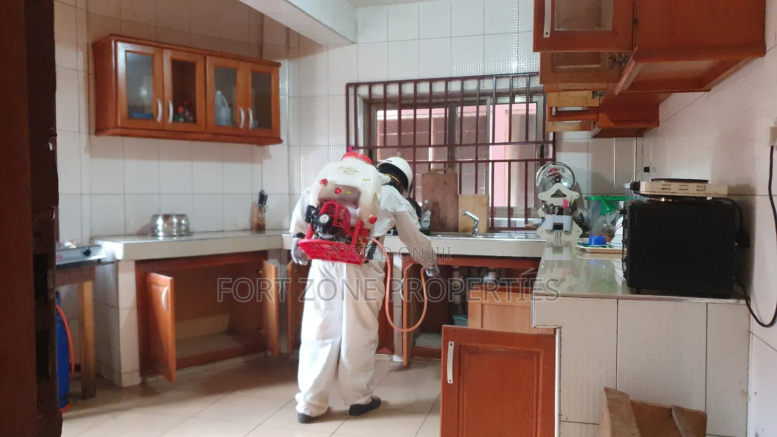 Mosquito Extermination