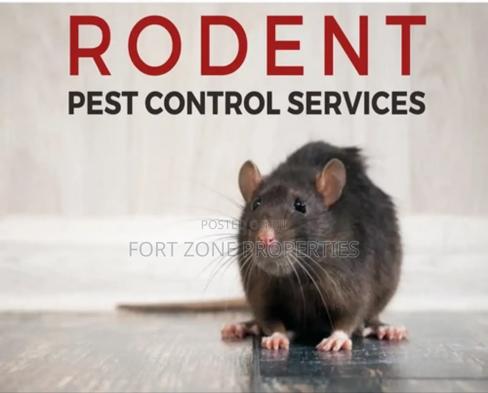 Rodents and Reptiles Fumigation