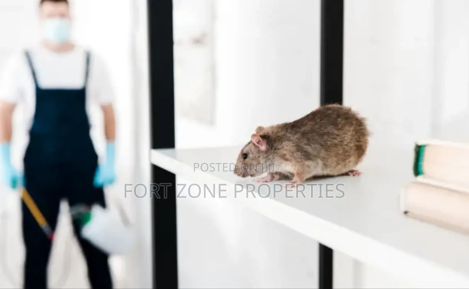 Rodents and Reptiles Fumigation