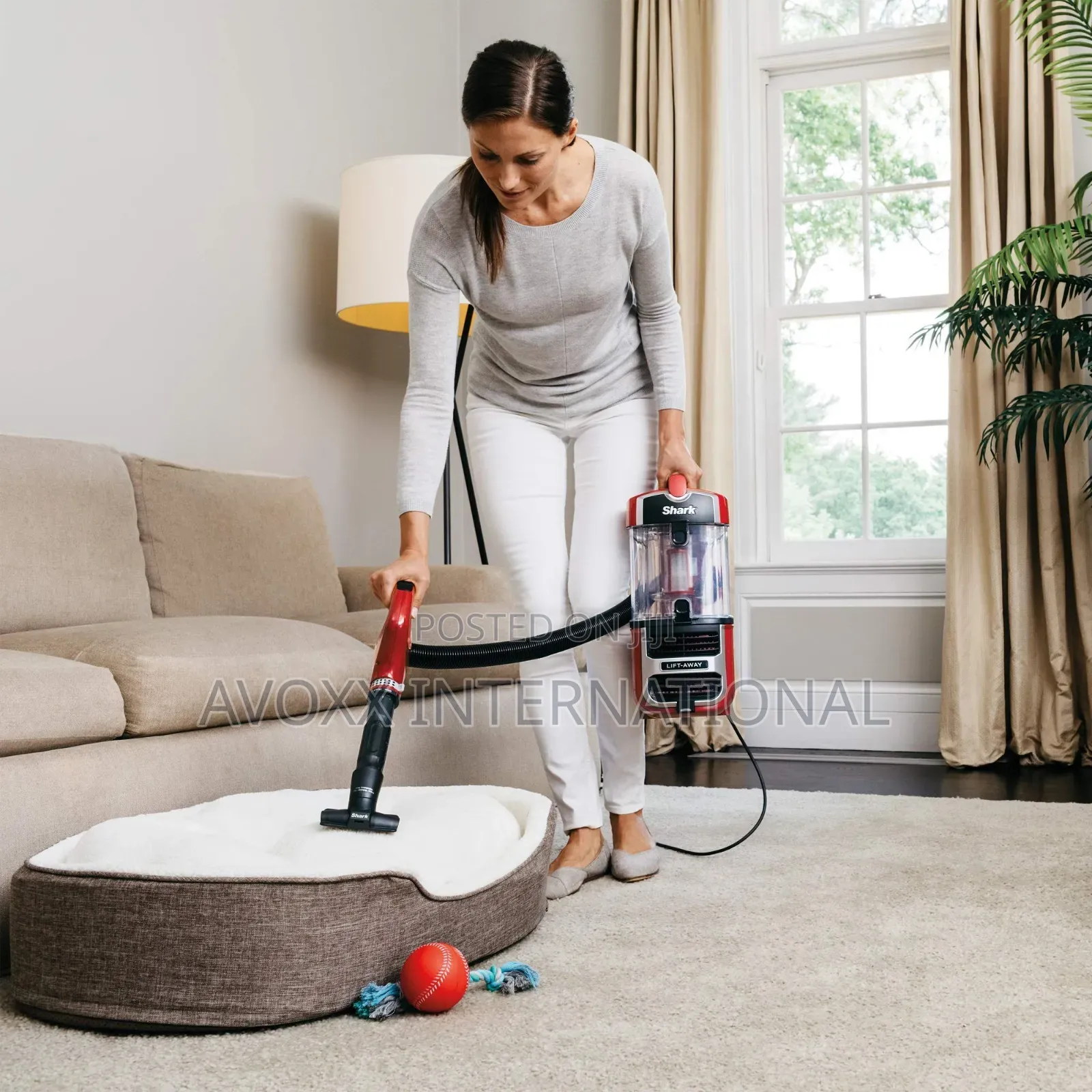 Shark Navigator Upright Vacuum With Lift-Away, ZU561