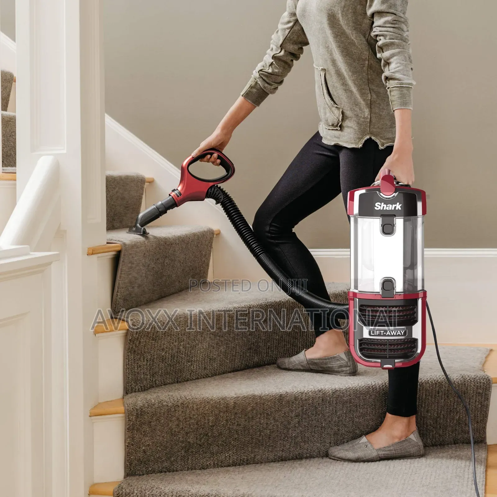 Shark Navigator Upright Vacuum With Lift-Away, ZU561